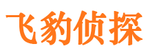 和林格尔市调查公司